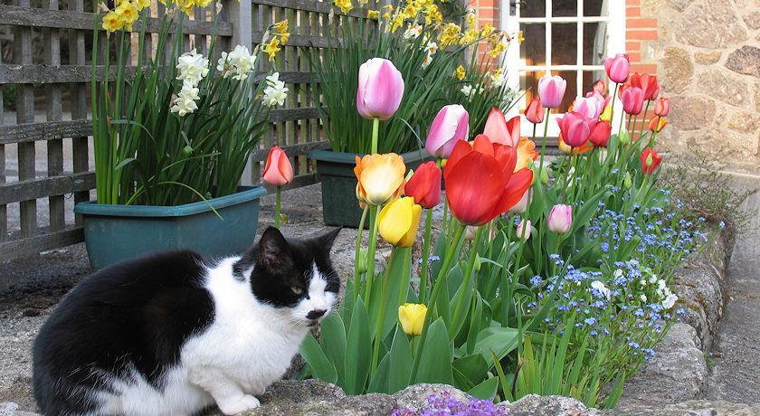 Budleigh Farm Cottages موريتونهامبستيد المظهر الخارجي الصورة